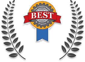 A Glimpse Into the Journey